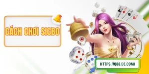 5 Phút Đọc Hiểu Cách Chơi Sicbo Tại Casino Của Nhà Cái Q88