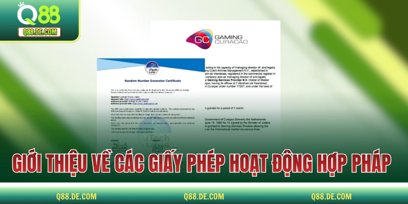 Giới Thiệu Q88 - Thương Hiệu Nhà Cái Cá Cược Triệu Hội Viên Giới thiệu Q88 về các giấy phép hoạt động hợp pháp