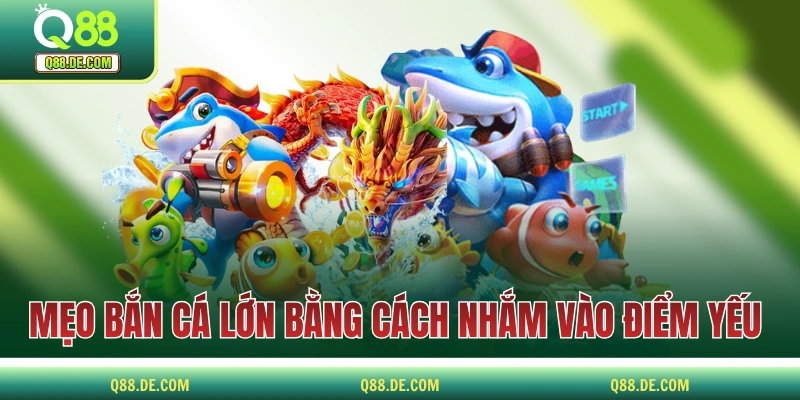 Mẹo Bắn Cá Lớn Sao Cho Ít Tốn Đạn Nhưng Đặc Biệt Hiệu Quả Mẹo bắn cá lớn bằng cách nhắm vào điểm yếu